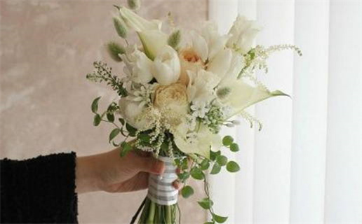 金枝玉叶2影评揭示爱情与家庭的复杂关系